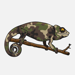 chameleon uniform animal template