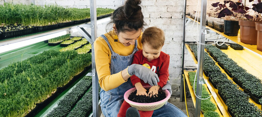 Woman with baby boy working on the indoor farm, planting microgreens. Choosing seeds and watering...