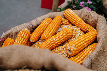 Tet decoration in the days near Lunar New Year at Youth Cultural House, Ho Chi Minh city, Vietnam