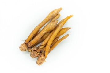Close up fresh finger roots or galingale on white background. Top view image of herb plant Finger Root or Krachai in Thailand language.