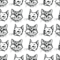 Cats hand draw sketch seamless vector pattern. Decorative seamless vector illustration, good for printing. Great for label, print, fabric, packaging