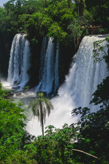 Naklejka premium Three waterfalls seen up close, in vertical Iguazu Falls, Argentina