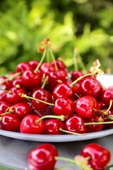 juicy ripe red cherries on a table in a plate on a summer day against a background of green foliage
