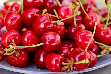 juicy ripe red cherries on a table in a plate on a summer day against a background of green foliage
