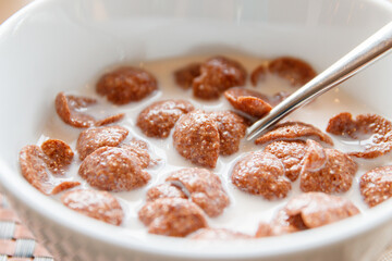 Close up on cereals with chocolate flavor and milk in the white bowl for breakfast time