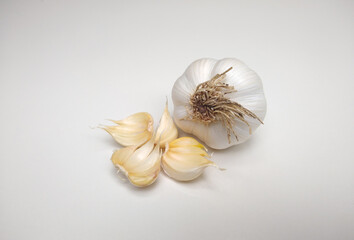 garlic on white background