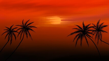 Fototapeta na wymiar Sunset and silhouettes of palm trees.