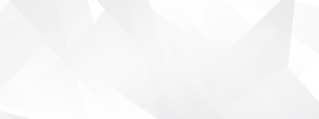 Obraz premium abstract white background, white modern background vector design