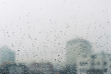 필름에 담은 서울