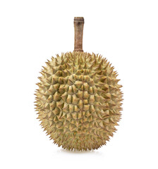 Durian isolated on white