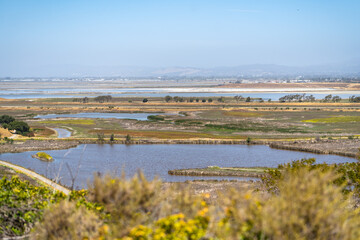 Marsh landscape, Coyote Hills Regional Park