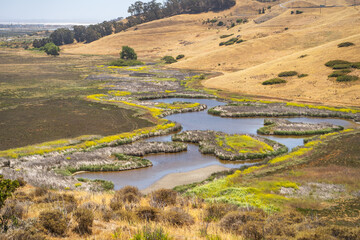 Marsh landscape, Coyote Hills Regional Park