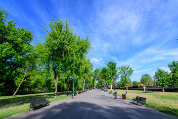 Fototapeta na wymiar Landscape with old green trees and grey alley in Mogosoaia Park (Parcul Mogosoaia), a weekend attraction close to Bucharest, Romania, in a sunny spring day.