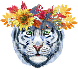 Colorful white tiger in wreath of autumn leaves. Wild animal watercolor illustration on white background
