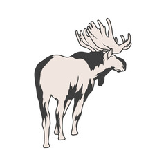 moose animal icon