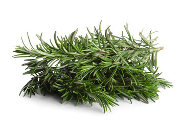 Fresh rosemary on white background