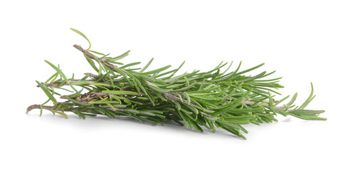 Fresh rosemary on white background