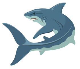 white Shark animal vector illustration on a white background