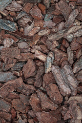 Cedar bark. Aged brown mulch chip. Crushed pine bark texture, old trunk decoration. Ornametntal soil bed. Garden yard shredded forest tree bark material