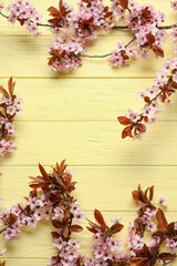 Beautiful blossoming branches on color wooden background
