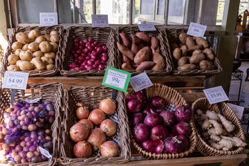 Farmers stand with farm produce - potatoes, onions, and ginger