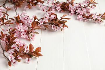 Beautiful blossoming branches on white wooden background