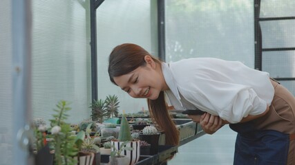 Fototapeta premium Asian beautiful young woman holding pot cactus flower on hands and smile laughing taking care looking small tree gloves at garden, love of houseplants, small business concept