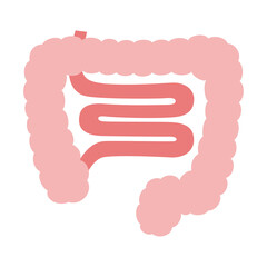 キレイなピンク色の小腸のイラスト。