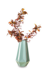 Fototapeta premium Vase with beautiful blossoming branches on white background