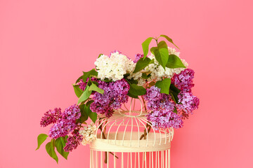 Cage with lilac flowers near color wall