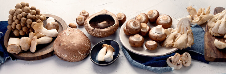 Variety of raw mushrooms on light gray background.