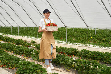 Full length portrait of smiling young woman in cap and apron carrying basket with ripe strawberries...