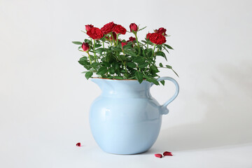 Beautiful red roses in pot on white background