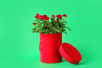 Beautiful red roses in box on color background