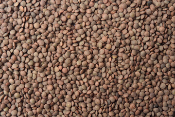 textured of pardina lentils on white background