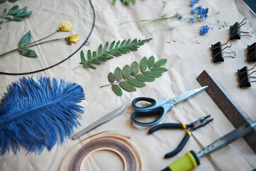 Herbalist tools and various plants on sheet of paper