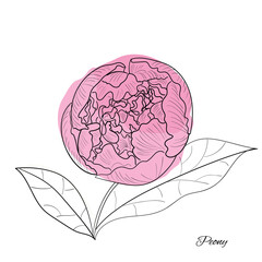 Hand drawn flower isolated, doodle sketch, blossom scribble