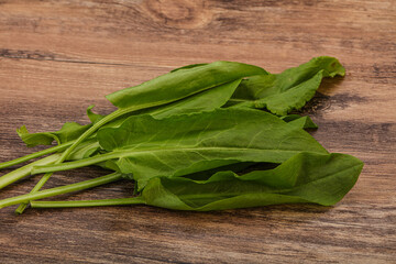 Aroma Fresh green sorrel heap