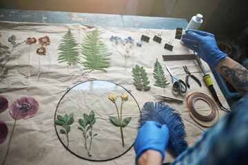 Male person in sterile gloves masking herbarium in workshop