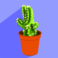 cactus in a pot