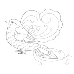 Contour linear illustration with bird for coloring book. Cute paradise bird, anti stress picture. Line art design for adult or kids  in zentangle style and coloring page.