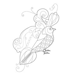 Contour linear illustration with bird for coloring book. Cute paradise bird, anti stress picture. Line art design for adult or kids  in zentangle style and coloring page.