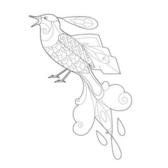 Contour linear illustration with bird for coloring book. Cute paradise bird, anti stress picture. Line art design for adult or kids  in zentangle style and coloring page.