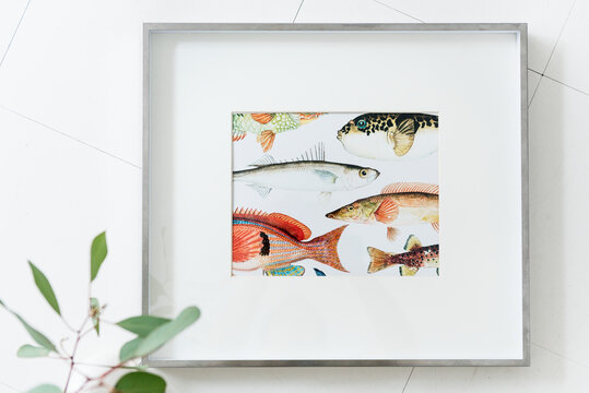 Photo frame of fishes