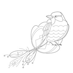 Contour linear illustration with bird for coloring book. Cute paradise bird, anti stress picture. Line art design for adult or kids  in zentangle style and coloring page.