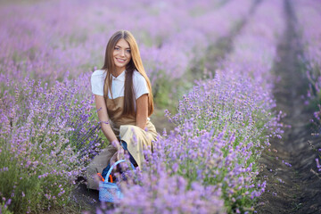 Portrait of stunning young smiling woman wearing farm outfit looking at camera, lavender meadow in summer. Front view of girl with long hair holding basket full of flowers, sitting in lavender field.