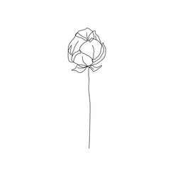 Rose Flower in Continuous Line Art Drawing Style. Floral Minimalist Doodle Drawing. Black Line Minimalist Design Sketch Isolated on White Background. Vector Illustration