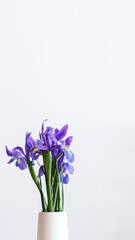 Closeup of purple irises in a white vase mobile phone wallpaper