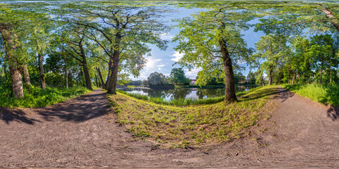 full seamless spherical hdri panorama 360 degrees angle view among old poplar grove in forest near...