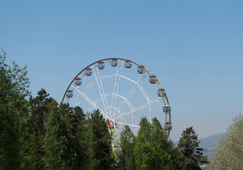 Fototapeta premium Ferris wheel (or the Big Wheel) in the forrest.
